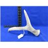Image 1 : Antlers