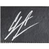 Image 2 : DONALD CERONE SIGNED UFC CHAMPIOSHIP BELT (PA COA)