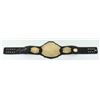 Image 1 : MISHA TATE SIGNED UFC CHAMPIONSHIP BELT (PA COA)