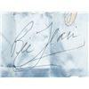 Image 2 : RIC FLAIR SIGNED NATURE BOY ROBE (JSA COA)