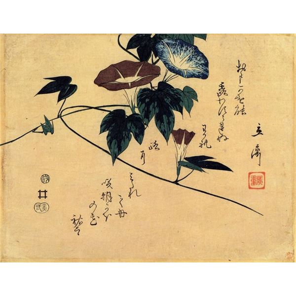 Hiroshige Morning Glory