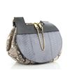 Image 1 : Chloe Drew Messenger Bag Python Medium Blue, Neutral