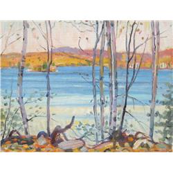 Sheppard Silver Birches on Lake Paudash, October (South of Wilno, Ont.)