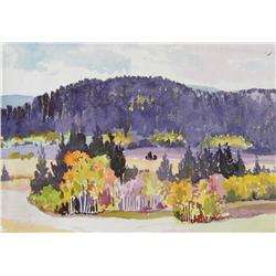 Thornton B.C. Landscape