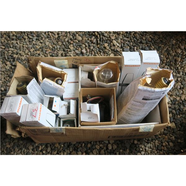 Assorted Specialty Bulbs/Lamps