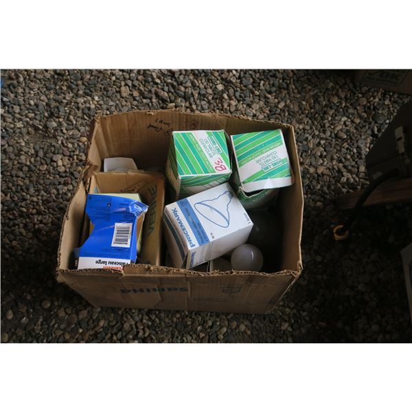 Assorted Specialty Bulbs/Lamps