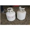 Image 2 : 2 Propane Tanks (stamped 21)
