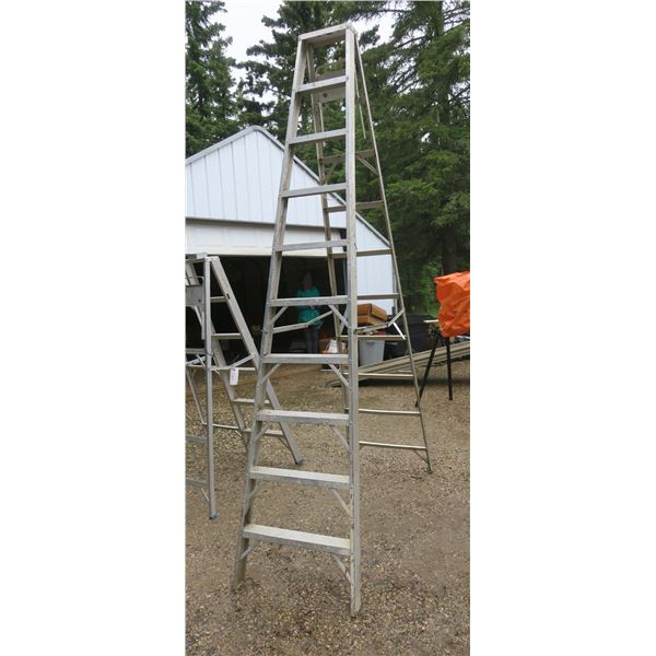 10ft Aluminum Ladder