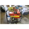 Image 3 : AQ Tronic Generator 1250Watt 4HP Briggs and Strator