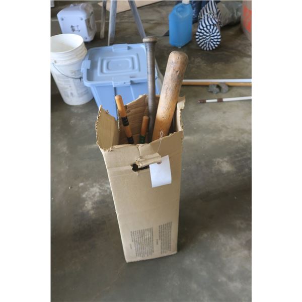 Box of Bats and Crocket Rackets