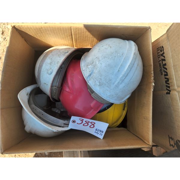 Box of (5) Hardware Hats