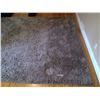 Image 2 : Carpet Rug Approx. 8'x10'