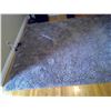Image 3 : Carpet Rug Approx. 8'x10'