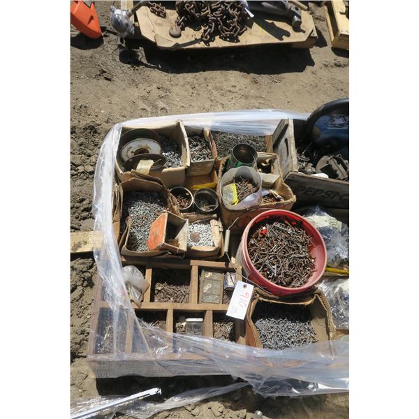 Large Lot of Assorted Nails & Screws