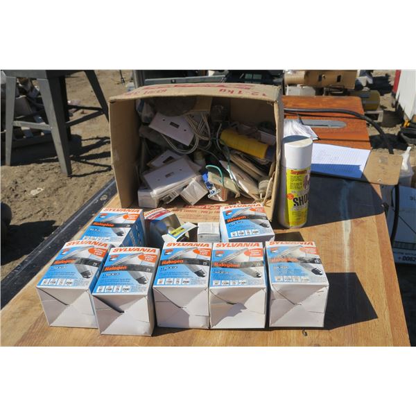 Lot of Electrical & Light Bulbs
