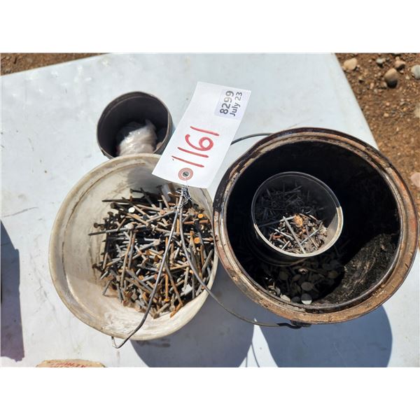 Lot of Nails & Screws
