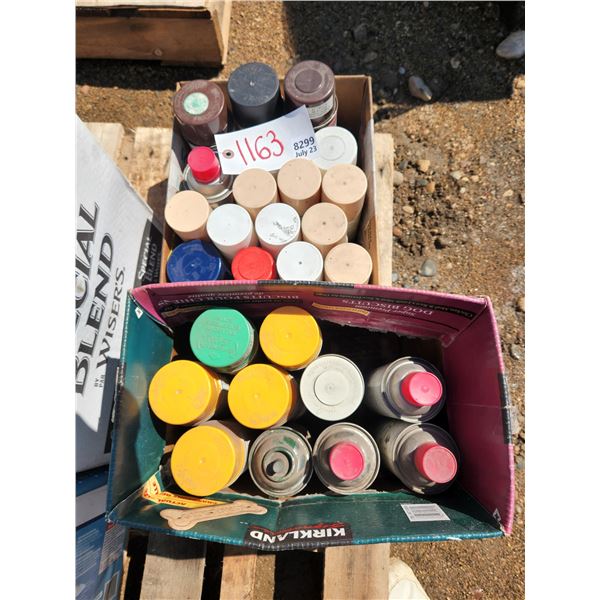 Spray Paint Lot