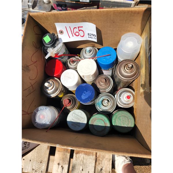 Spray Paint Lot