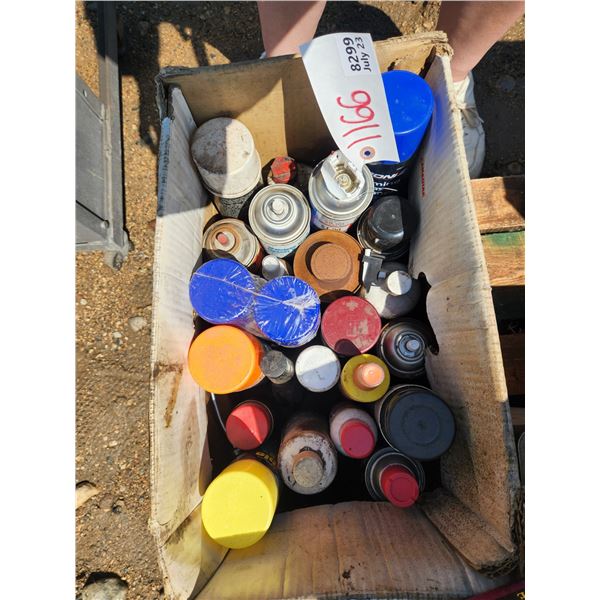 Spray Paint Lot