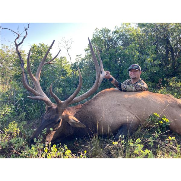 NORTH RIM: 4-Day Rocky Mountain Elk Hunt for One Hunter in Colorado - Includes Elk Scoring up to 350