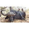Image 2 : MWATISI SAFARIS: 10-Day Cape Buffalo and Plains Game Safari for One Hunter in Tanzania