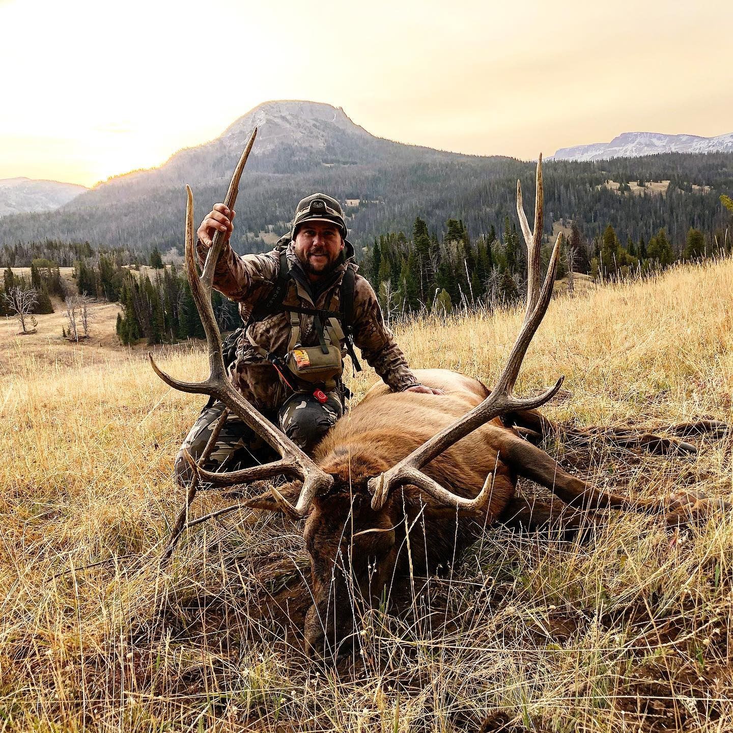 Elk Call Reed Elk Reeds Rocky Mountain Wild Thang Elk Call - Open Reed Elk Call For ...