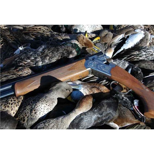 ROD AND GUN RESOURCES:  4-Day High Volume Duck Hunt for Two Hunters in Argentina