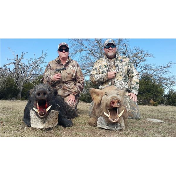 TEXAS HUNT LODGE: 2-Day Texas Wild Boar Hunt for Four Hunters