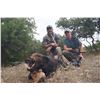 Image 2 : TEXAS HUNT LODGE: 2-Day Texas Wild Boar Hunt for Four Hunters