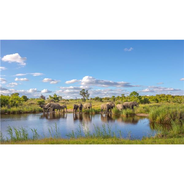 KWALATA SAFARIS: 7-Day 2x1 Plains Game Safari for Two Hunters with $1500 Trophy Credit Per Hunter