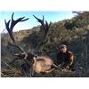 Image 5 : ATP HUNT: 3-Day Iberian Red Stag and European Wild Boar Hunt for One Hunter and One Non-Hunter in Sa