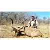 Image 7 : TROMPETTERSFONTEIN SAFARIS AND HUNTING LODGE: 6-Day Hunt for One Hunter and Guest for Impala, Blue W