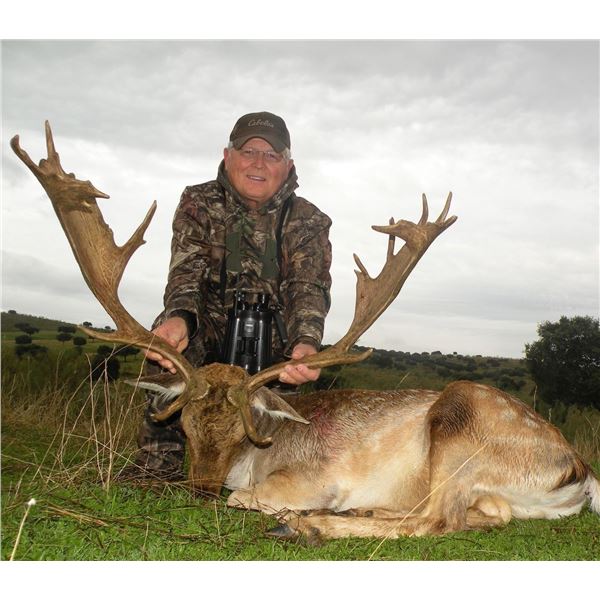GREAT EUROPEAN HUNTS: 4-Day 1x1 Guided European Fallow Deer Hunt in Spain