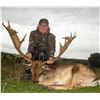 Image 1 : GREAT EUROPEAN HUNTS: 4-Day 1x1 Guided European Fallow Deer Hunt in Spain