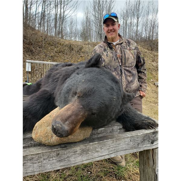 NORTHERN ADVENTURE HUNTS: 6-Day Black Bear Hunt for One Hunter in Alberta, Canada