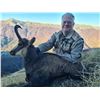Image 1 : SAFARI INTERNATIONAL MACEDONIA: 5-day Balkan Chamois Hunt for One Hunter and One Observer in Croatia