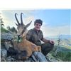 Image 2 : SAFARI INTERNATIONAL MACEDONIA: 5-day Balkan Chamois Hunt for One Hunter and One Observer in Croatia