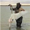 Image 4 : SAFARI UNLIMITED LLC: 4-Day Duck and Goose Hunt for Two Hunters in North Dakota