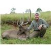 Image 3 : KINGHAM SAFARIS: 3-Day Moluccan Rusa Stag Hunt for One Hunter in Beautiful Australia