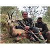 Image 4 : GIUSEPPE CARRIZOSA: 4-Day Iberian Red Deer Hunt for One Hunter in Beautiful Spain