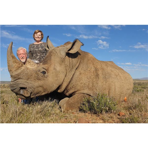 TAM SAFARIS: 7-Day White Rhino Vita-Dart Hunt in South Africa for One Hunter and One Observer