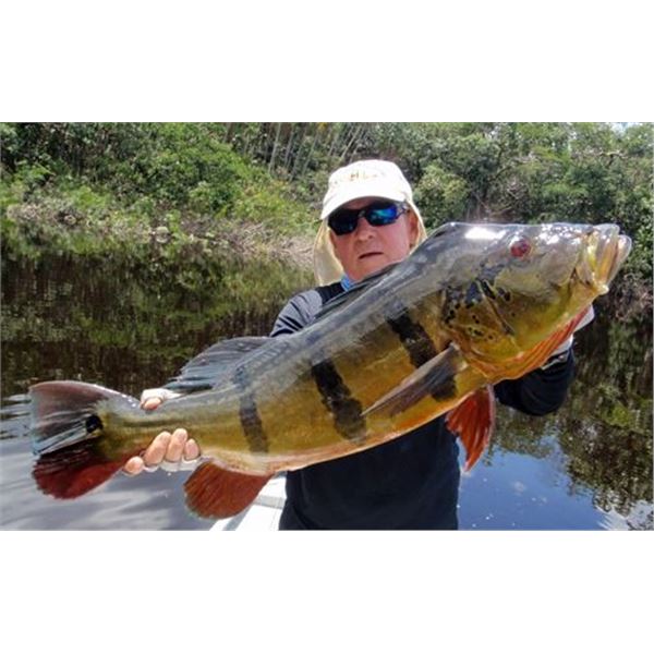 ACUTE ANGLING: 6 and 1/2 Day Amazon Peacock Bass Fishing Trip and Traveling the Brazilian Amazon in