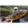 Image 1 : ACUTE ANGLING: 6 and 1/2 Day Amazon Peacock Bass Fishing Trip and Traveling the Brazilian Amazon in