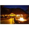 Image 2 : MOTSOMI SAFARIS: 7-Day South African Safari for Two Hunters and Two Non-Hunters in the Limpopo Provi