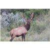 Image 1 : DEA RANCH: Awesome 3-Day 2-Night Trophy Bull Elk and Whitetail Deer Hunt for Two Hunters in South Te