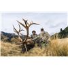 Image 2 : SPEY CREEK TROPHY HUNTING: 5-Day Red Stag Hunt for Two Hunters and Two Non-Hunters in New Zealand