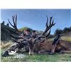 Image 3 : SPEY CREEK TROPHY HUNTING: 5-Day Red Stag Hunt for Two Hunters and Two Non-Hunters in New Zealand