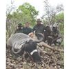 Image 3 : HERITAGE SAFARIS: 7-Day Buffalo Hunting Safari for One Hunter in The Selous Game Reserve, Tanzania f