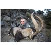 Image 5 : SPANISH IBEX HUNTS: 4-Day Southeastern Ibex Hunt in Spain for Two Hunters and Two Observers Includin