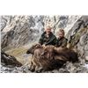 Image 1 : METANOIA VENTURES: 7-Day Tahr Free Range Bull Tahr Hunt with Metanoia Aventures New Zealand